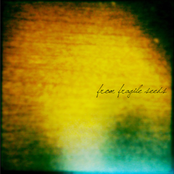 Where Your Anchors Sleep