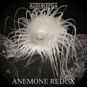 Anemone Redux