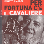 per fortuna c'è il cavaliere