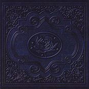Cold Roses (disc 2)