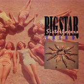 Holocaust by Big Star