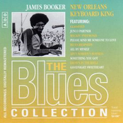 Holland And Hamburg by James Booker