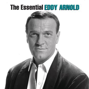 Lonely Again by Eddy Arnold