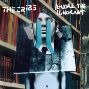 Cheat On Me by The Cribs