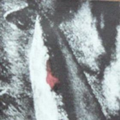 Catacomb Mysteries (Split)