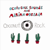 Coconut Rock by Ocote Soul Sounds