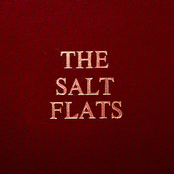 Velocity Princess-Some Music from the 1980s