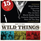 Classic Rock 217 - Wild Things