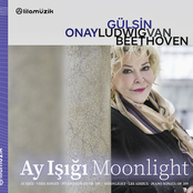 Ay Işığı/Moonlight