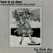 2002 Split Album: There Is No Dana ("Angry Gladiator Shakes Tiny People") & Big Thick Skin ("Why'd He Do That?")