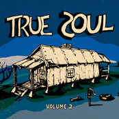 True Soul: Deep Sounds from the Left of Stax Vol. 2
