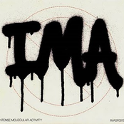 I.M.A. 8" flexi EP