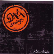 Ontrafel by Dna Strings