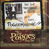 Something Wild by The Pogues