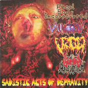 Sadistic Acts Of Depravity