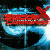 Down On Your Knees (slavery Mix) by Suicide Commando