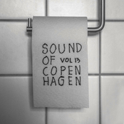 Various - Sound Of Copenhagen Vol. 13