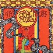 Reality D Blipcrotch