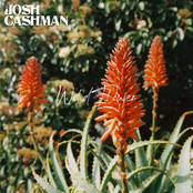 Josh Cashman: WildFlower