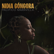 Nidia Gongora: Pacífico Maravilla