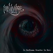 In Darkness, Creation Is Born