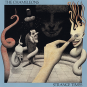 The Chameleons: Strange Times