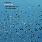 Vijay Iyer: Compassion