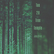 John Oliver: Tao 20 Tree Temple