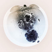 White Label (Is This Love) - Single