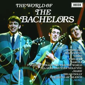 Oh How I Miss You by The Bachelors