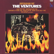Sea Of Grass by The Ventures