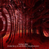 Raining metallic mushroom