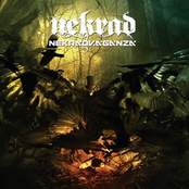 Nekradvaganza