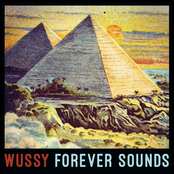 Wussy: Forever Sounds