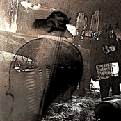 and if nothing lasts forever, will you be my nothing?