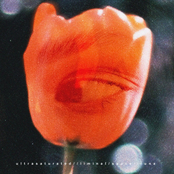 Liminal Space // Luna