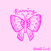 Small Crush: Running