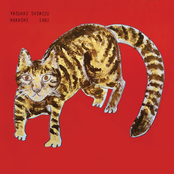 Yasuaki Shimizu: 案山子