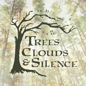 Trees, Clouds & Silence