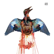Nagual