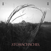 Weighted by Frnkiero Andthe Cellabration