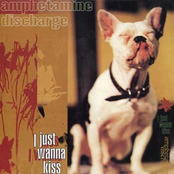 I Just Wanna Kiss by Amphetamine Discharge