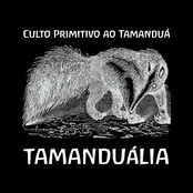 culto primitivo ao tamandua