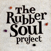 The Rubber Soul Project