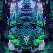 Meditation of Plants