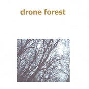 Drone Forest