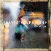 Hallelujah In The City by Joan Osborne