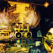 Play In The Sunshine by Prince