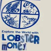 Lobster Money
