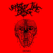 S/T